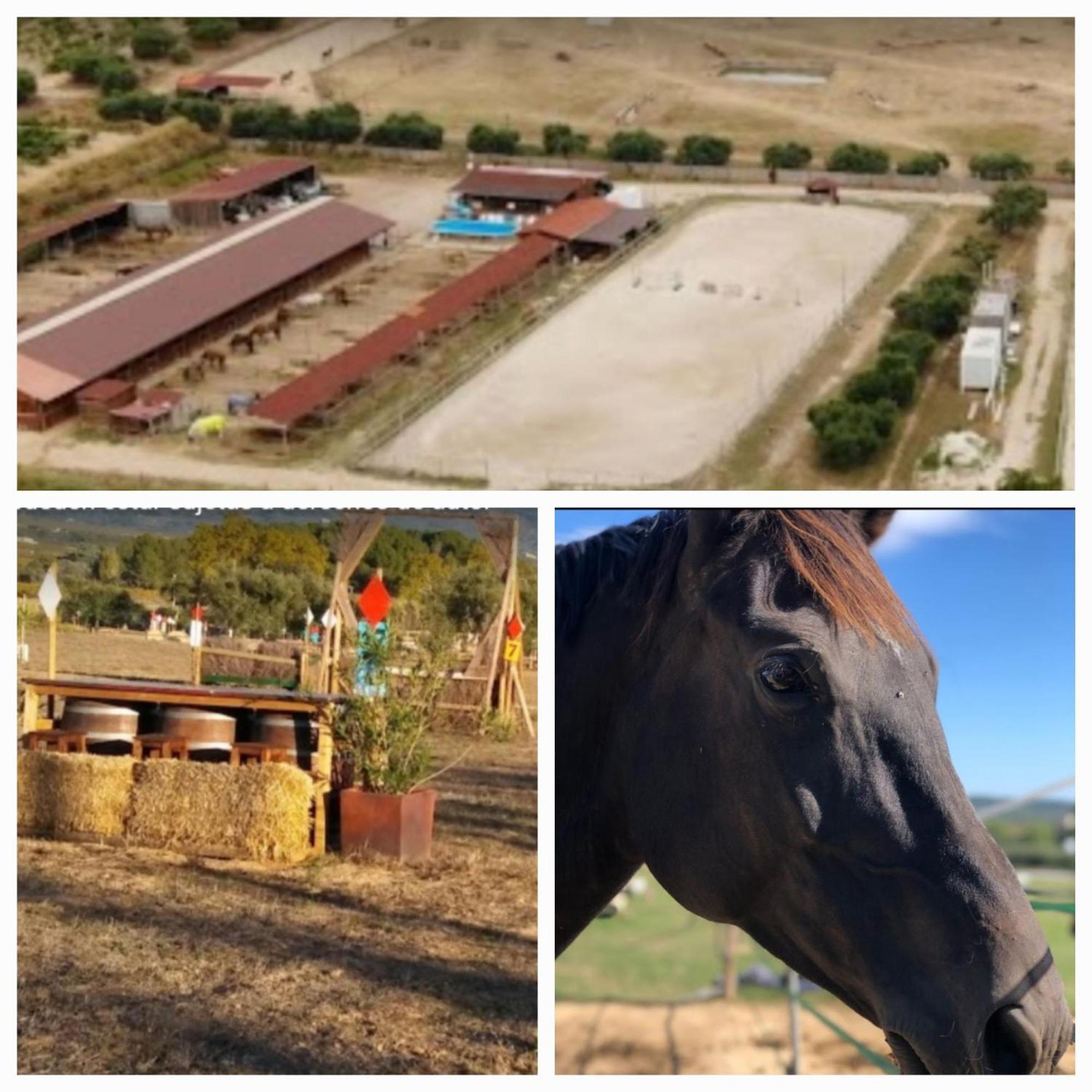 Casa Cal Tofol Villa Font-Rubi Kültér fotó